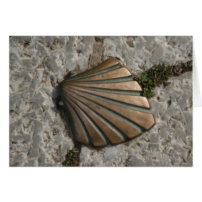 De Weg van St. Jan, Sint-Jakobsschelp Route Marker (Voorkant Horizontaal)