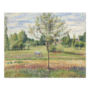 De weide met grijze paard, Eragny, Olieverfschilde Foto Afdruk