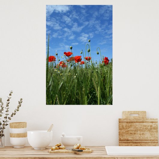 De weide poster (Keuken)