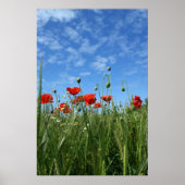 De weide poster (Voorkant)