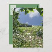 De Weiden en Wildflowers van Kansas Briefkaart (Voorkant / Achterkant)