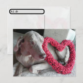De Weimaraner is een hart van je. Briefkaart (Voorkant / Achterkant)