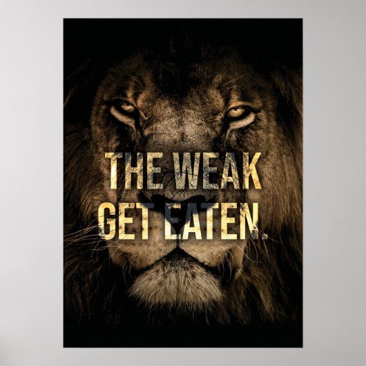 De weke krijgt gegeten - leeuw - puin poster (Voorkant)