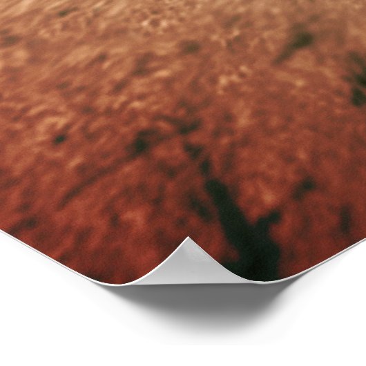 De Wellfleet Penman Poster (Hoek)