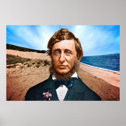 De Wellfleet Penman Poster (Voorkant)