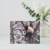 De welp van de panda het spelen op boom met sneeuw briefkaart (Staand voorkant)