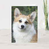 De Welse Kaart Corgi van Pembroke (Voorkant)