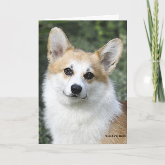 De Welse Kaart Corgi van Pembroke (Voorkant)