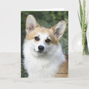 De Welse Kaart Corgi van Pembroke