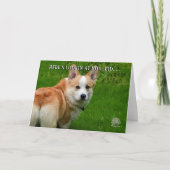 De Welse Kaart Corgi van Pembroke (Voorkant)