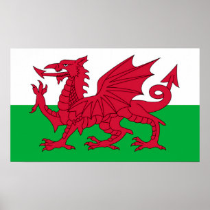 De Welsh Flag Poster