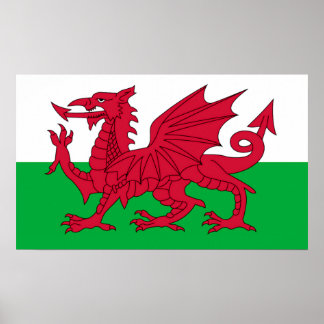 De Welsh Flag Poster