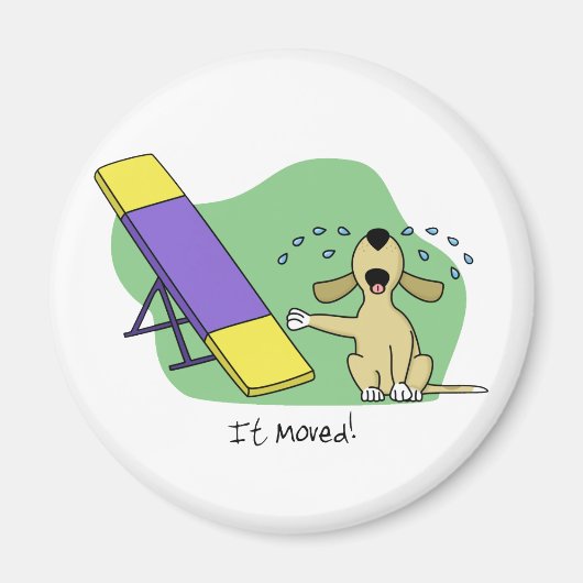 De wendbaarheid van de Teeter leren Magneet (Voorkant)