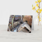 De Wens van de herfst - Kaart (Gele Bloem)