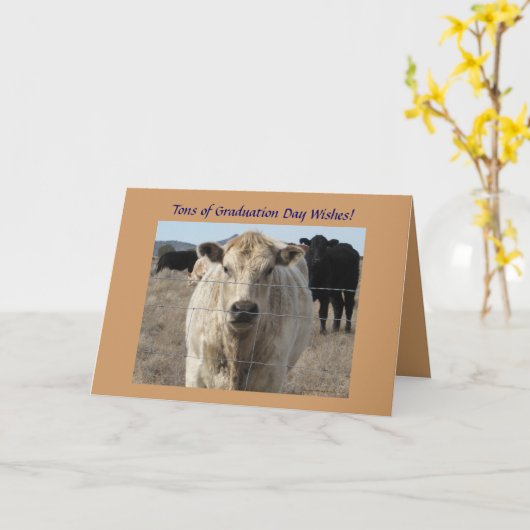 De Wensen van afstuderen - Leuke Witte Koe - Kaart (Gele Bloem)