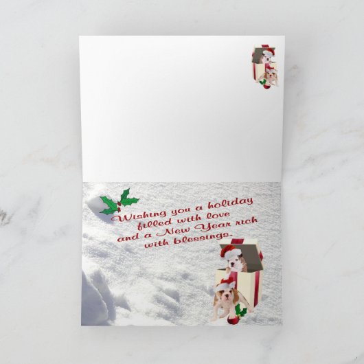 De Wensen van de Scène van de Sneeuw van Kerstmis Feestdagen Kaart (Binnen)