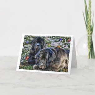 De Wensen van de Vakantie van Newfie Feestdagen Kaart