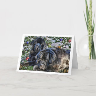 De Wensen van de Vakantie van Newfie Feestdagen Kaart