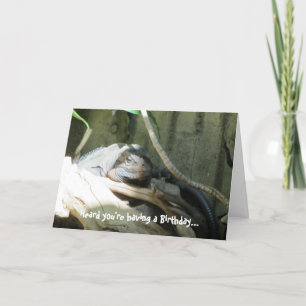 De Wensen van de Verjaardag van Iquana Kaart