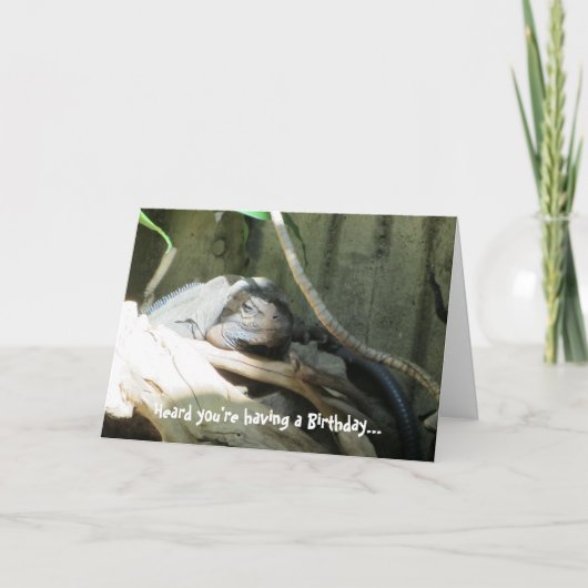 De Wensen van de Verjaardag van Iquana Kaart (Voorkant)