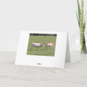 De Wensen van de Verjaardag van Texas Longhorn Kaart (Achterkant)