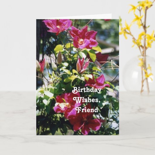 De Wensen van de verjaardag, Vriend, de mooie Kaart (Gele Bloem)