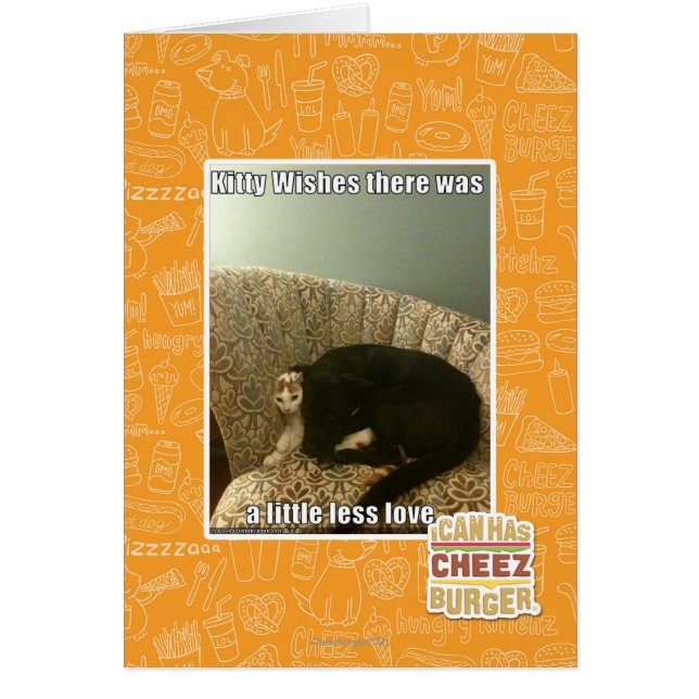 De Wensen van het kat (Voorkant)