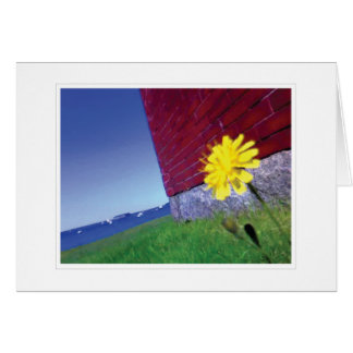 De wensen van morgen