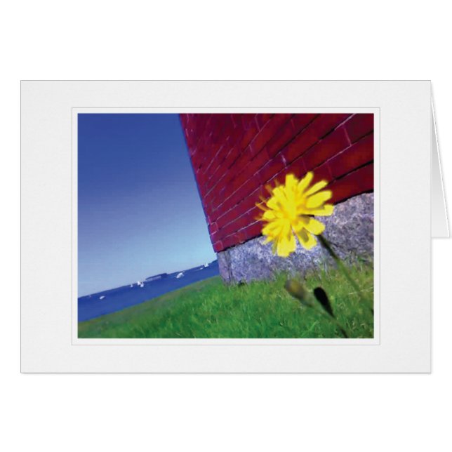 De wensen van morgen (Voorkant Horizontaal)