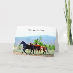 De Wenskaarten van Choctaw (Chi Pisa lachike) Kaart