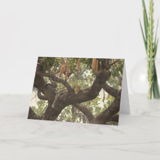 De Wenskaarten van de Kunst van het Wild van Kaart