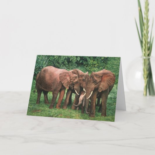 De Wenskaarten van de Kunst van het Wild van Kaart (Voorkant)