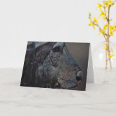 De Wenskaarten van de Kunst van het Wild van Kaart (Gele Bloem)