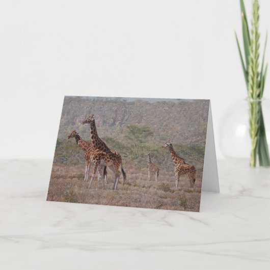 De Wenskaarten van de Kunst van het Wild van Kaart (Voorkant)