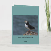 De Wenskaarten van de papegaaiduiker Kaart (Achterkant)