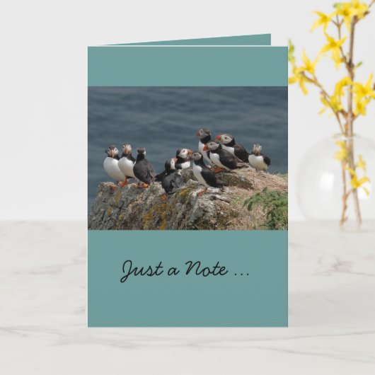 De Wenskaarten van de papegaaiduiker Kaart (Gele Bloem)