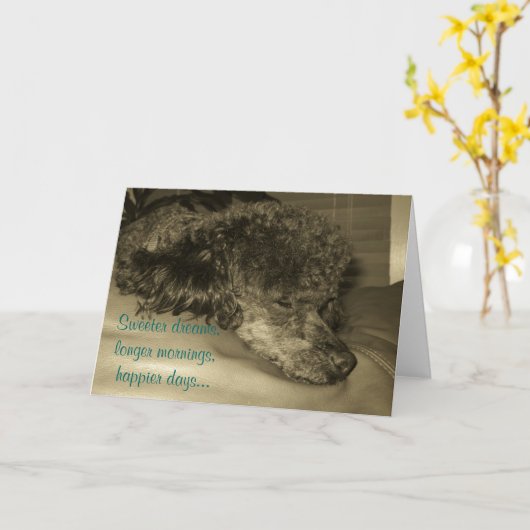 De Wenskaarten van de pensionering Kaart (Gele Bloem)