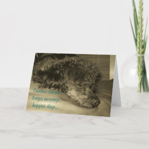 De Wenskaarten van de pensionering Kaart