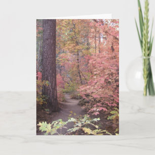 De Wenskaarten van de stilte & van de Zoetheid (1) Kaart