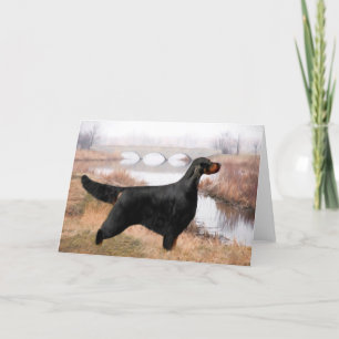 De Wenskaarten van de Zetter van Gordon Kaart