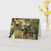 De Wenskaarten van Fawn Kaart (Gele Bloem)
