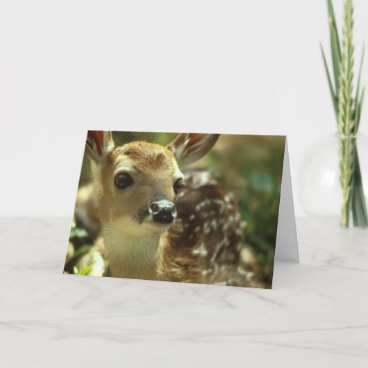 De Wenskaarten van Fawn Kaart (Voorkant)