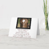 De Wenskaarten van het paard & van het gedicht of Kaart (Achterkant)