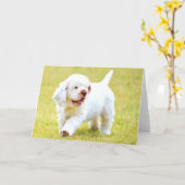 De Wenskaarten van het Puppy van het Spaniel van Kaart (Gele Bloem)