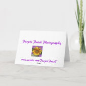 De wenskaarten van het Witte Huis Kaart (Achterkant)