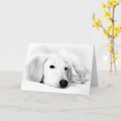 De Wenskaarten van Saluki Kaart (Gele Bloem)