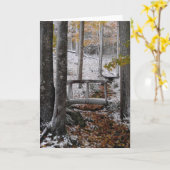 de wenskaarten van sneeuwdagen kaart (Gele Bloem)