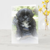 De Wenskaarten van Tzu van Shih Kaart (Gele Bloem)