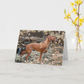 De Wenskaarten van Vizsla Kaart (Gele Bloem)