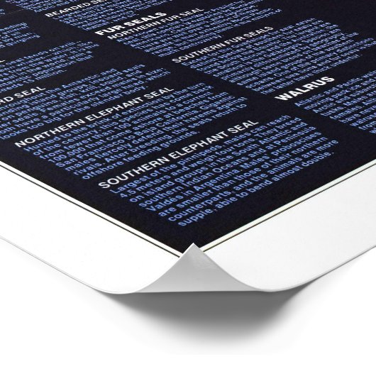 " De wereld: 1987, gespeend rond de wereld ... Poster (Hoek)